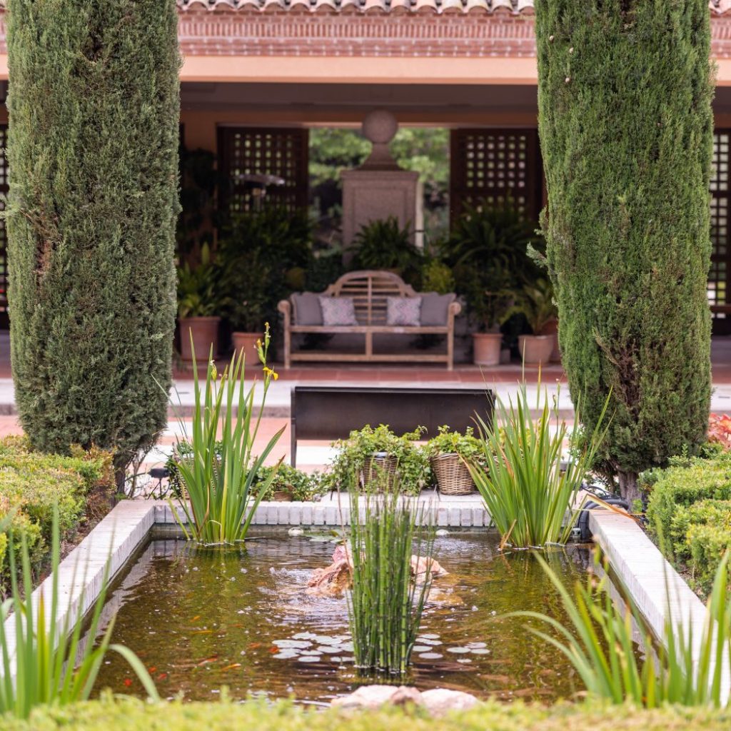 Instantanea y Tomaprimera